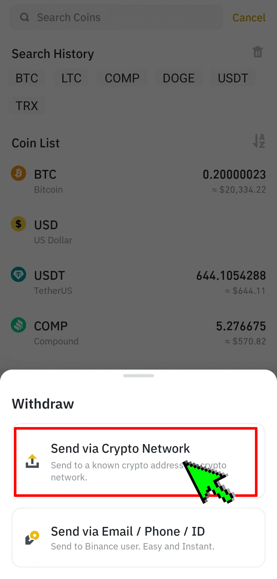 Send via Crypto Network